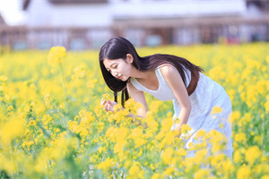 上海的人工智能人才培养现状